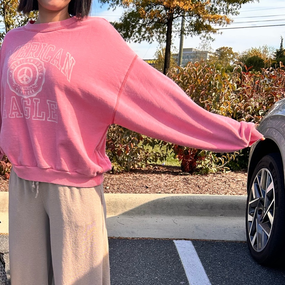 American Eagle Outfitters Sweatshirt. M - Picture 4 of 12
